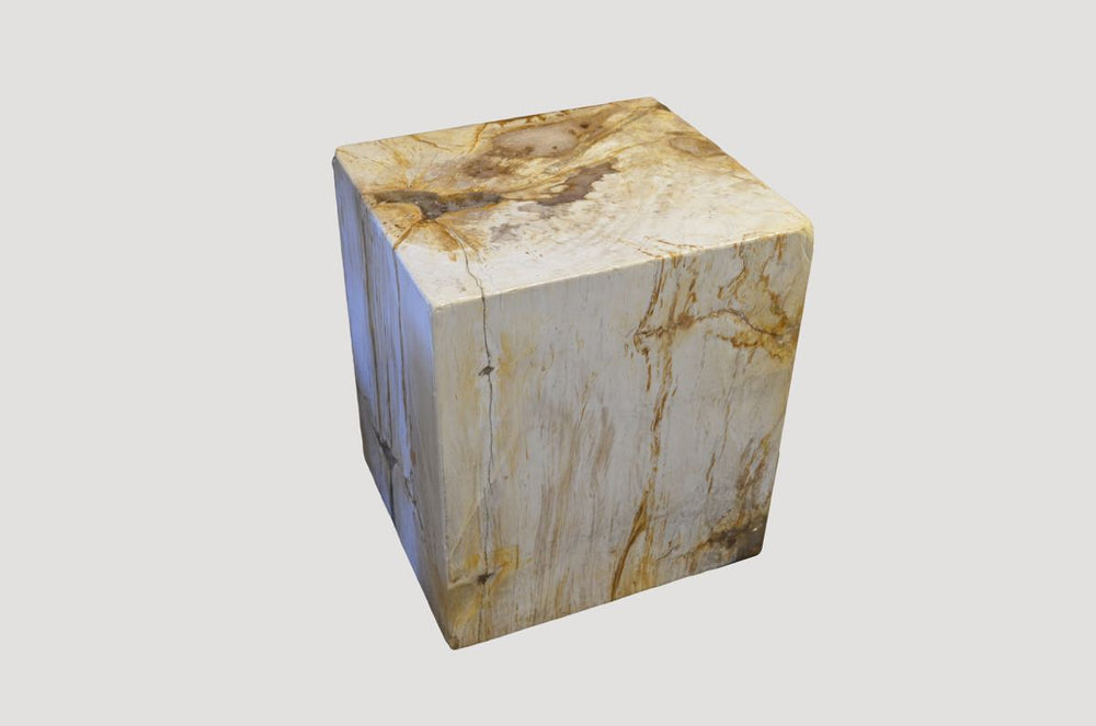 High Quality Petrified Wood Collection