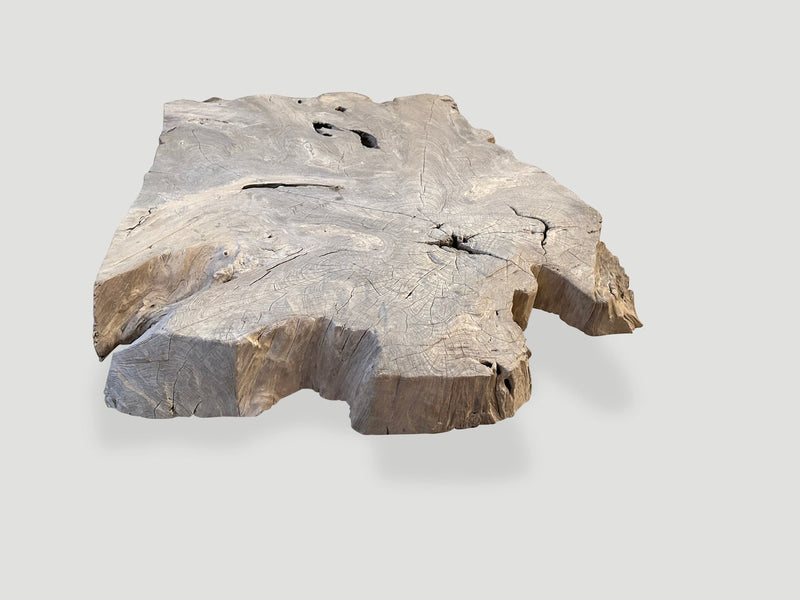 Century Old Bleached Teak Coffee Table