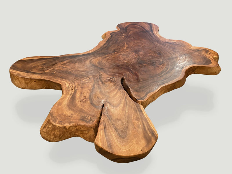 Amorphous Suar Wood Coffee Table