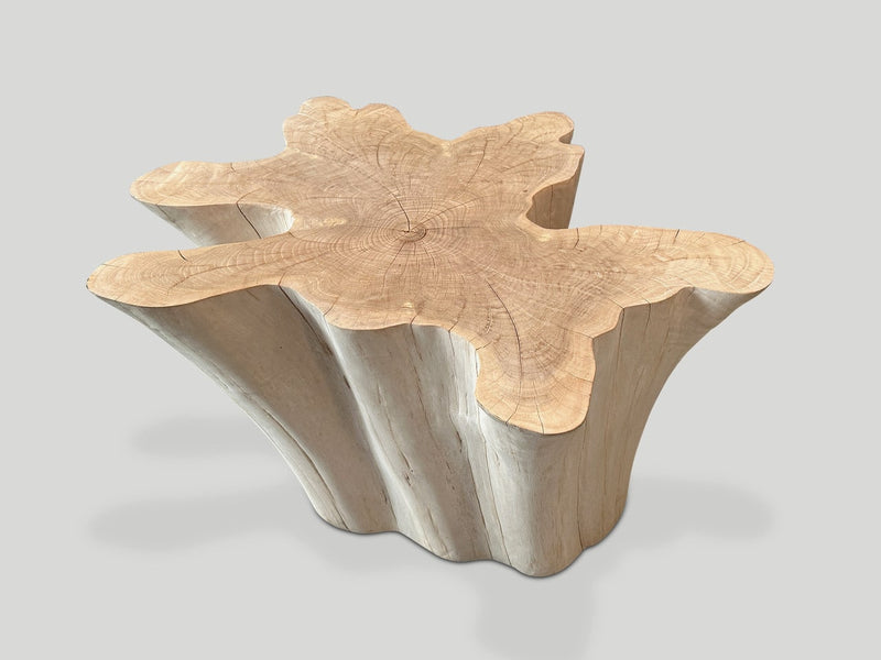 Amorphous Bleached Teak Wood Table