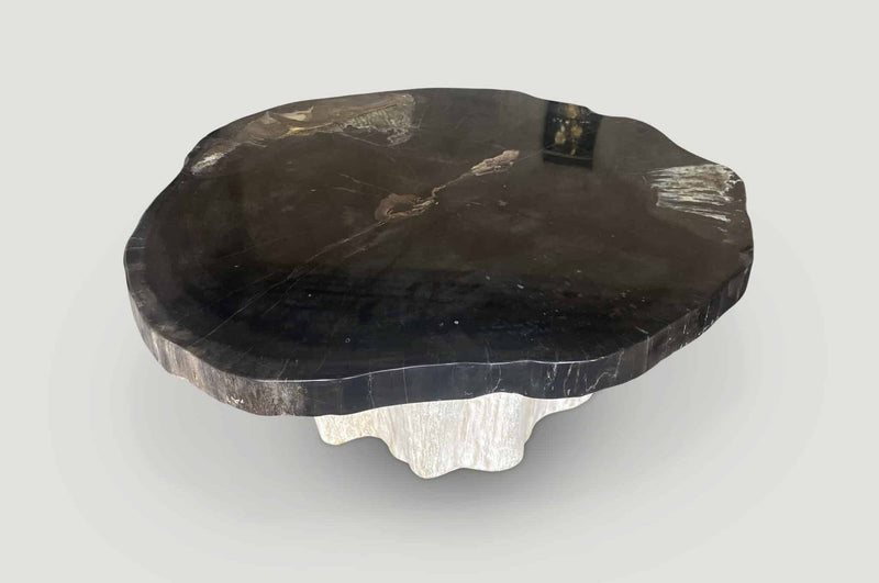 Super Smooth Petrified Wood Coffee Table with an Organic Teak Base