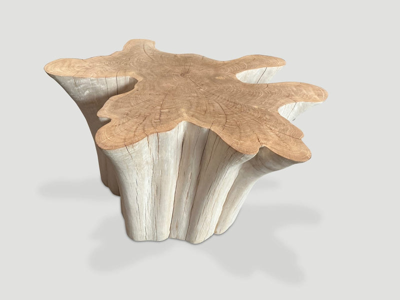 Amorphous Bleached Teak Wood Table