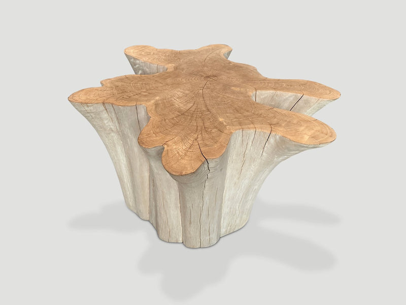 Amorphous Bleached Teak Wood Table
