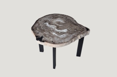 Petrified Wood Slab Table