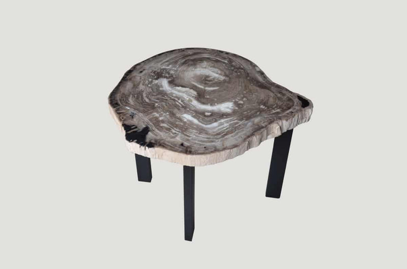 Petrified Wood Slab Table