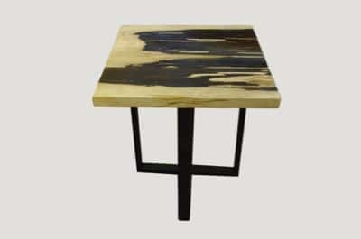 Petrified Wood Slab Top Side Table