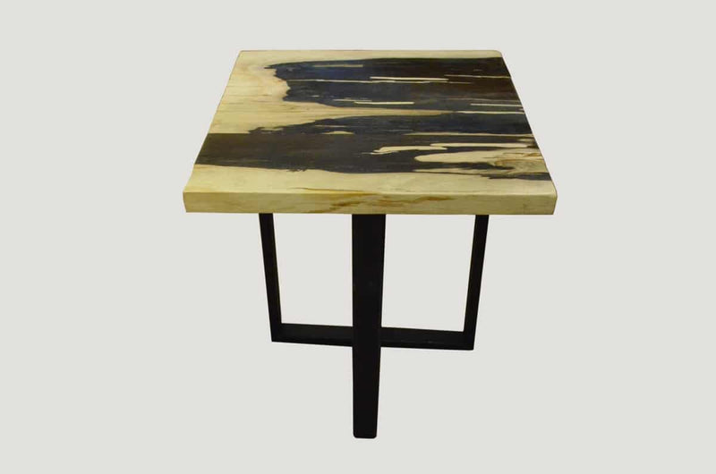 Petrified Wood Slab Top Side Table