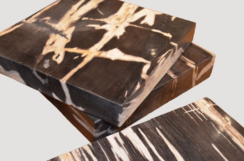 Petrified Wood Slice - Slab