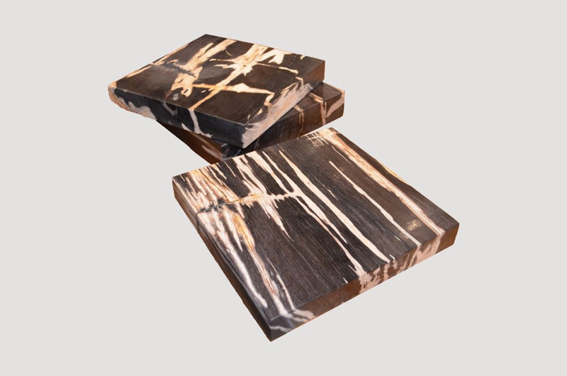 Petrified Wood Slice - Slab