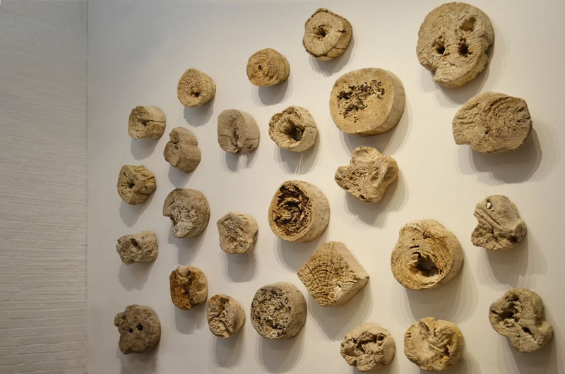 Erosion Teak Art Sculptures