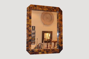 Cracked Shell Mirror