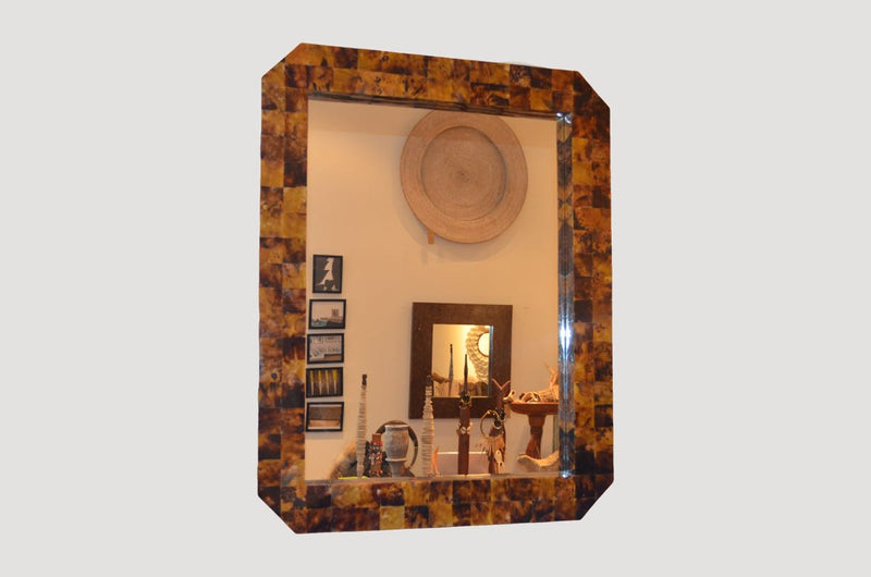 Cracked Shell Mirror