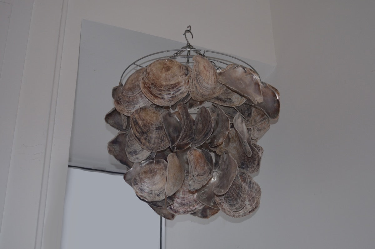 Abalone Shell