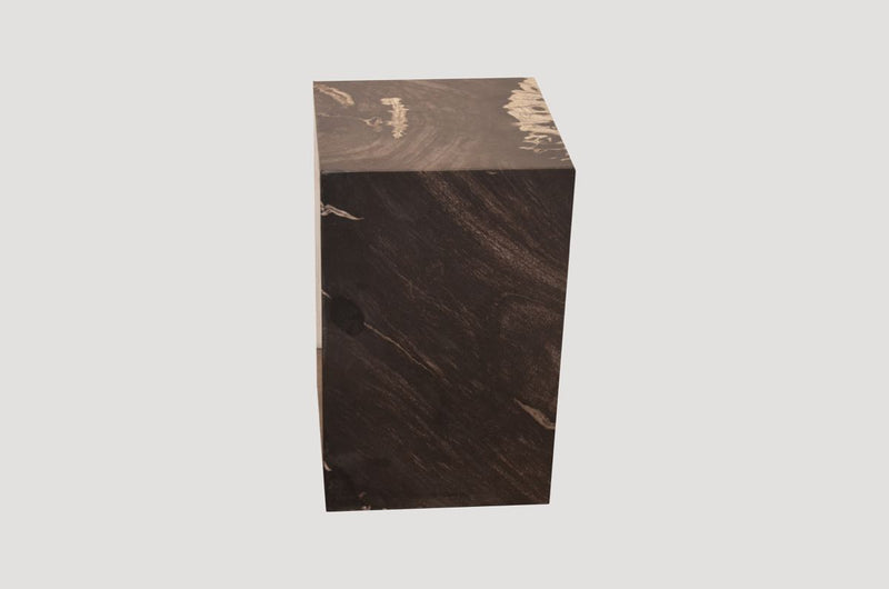 Minimalist Petrified Wood Side Table