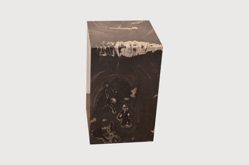 Minimalist Petrified Wood Side Table