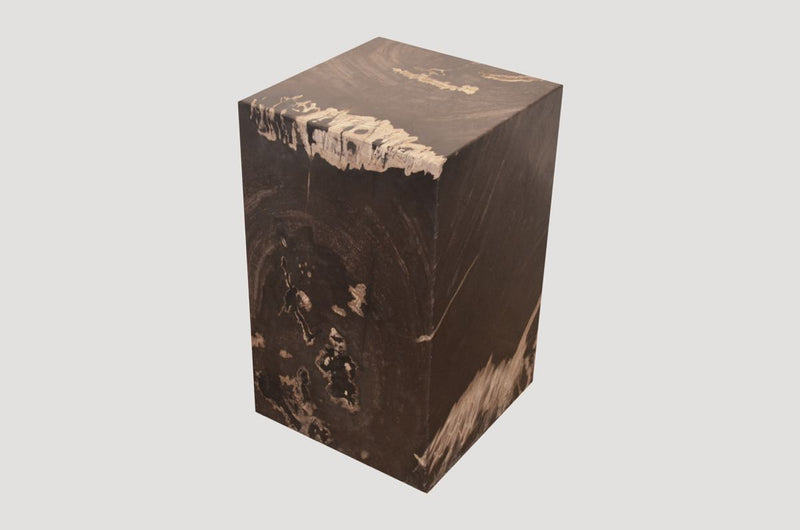 Minimalist Petrified Wood Side Table