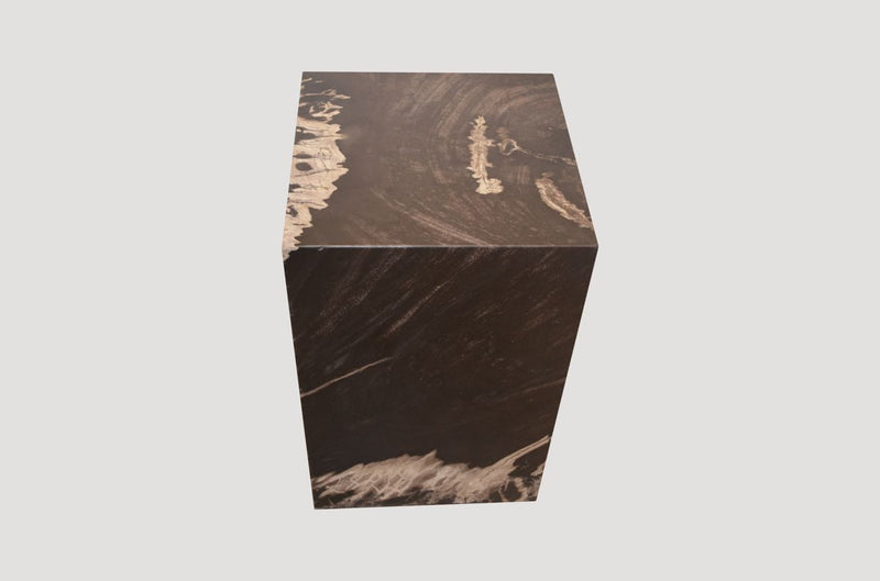 Minimalist Petrified Wood Side Table