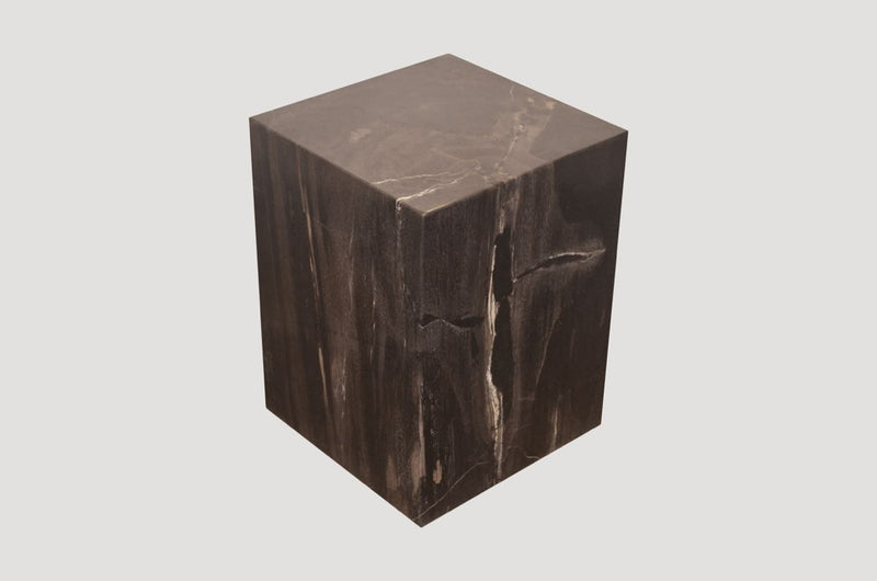 Petrified Wood Side Table