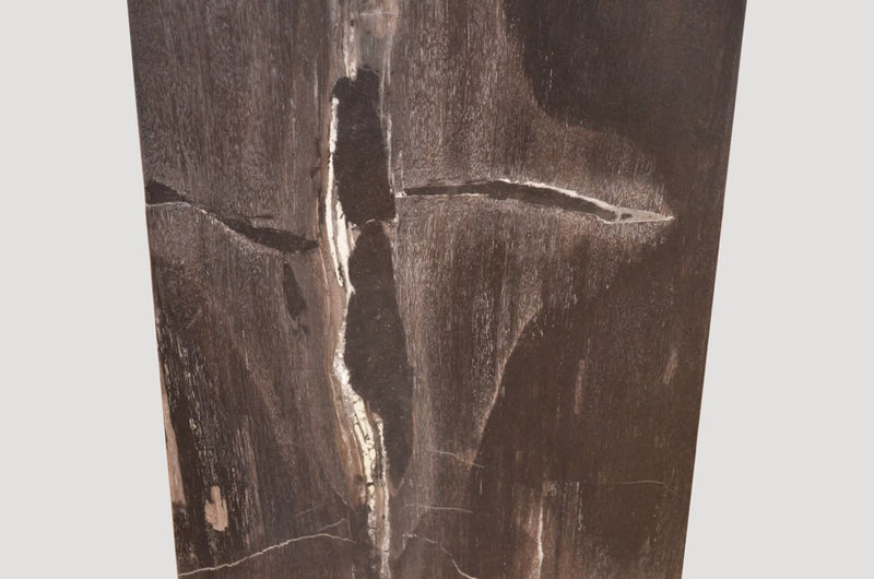 Petrified Wood Side Table