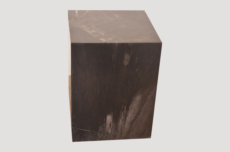 Petrified Wood Side Table