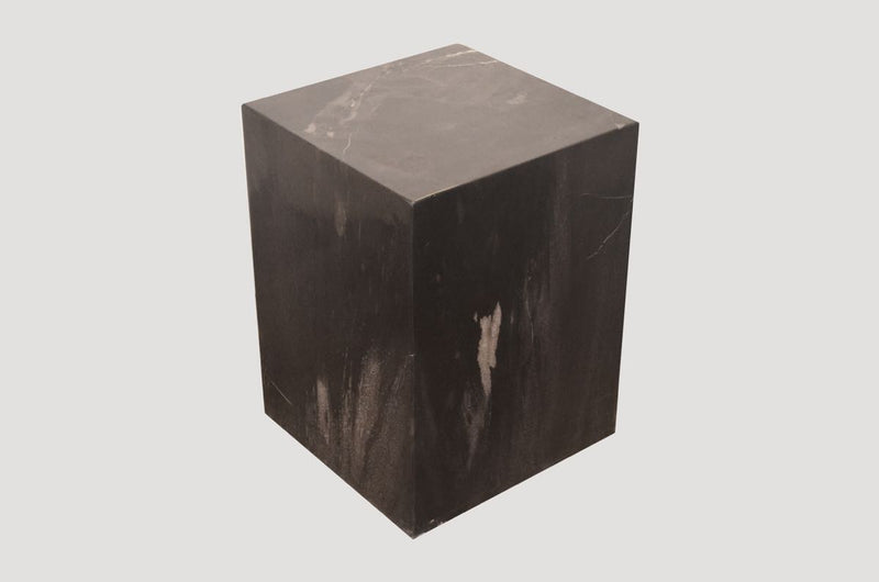 Petrified Wood Side Table