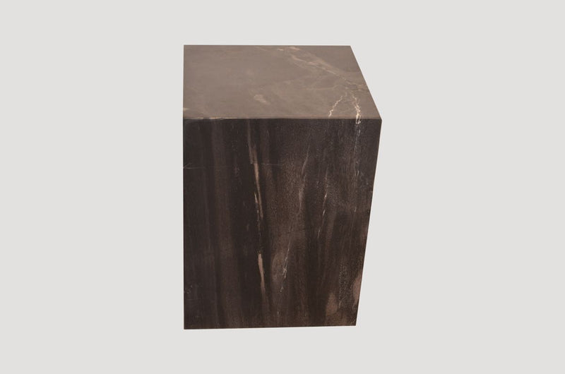 Petrified Wood Side Table