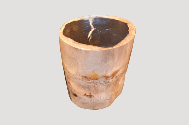 Petrified Wood Side Table