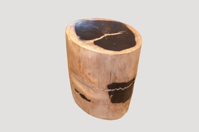Petrified Wood Side Table
