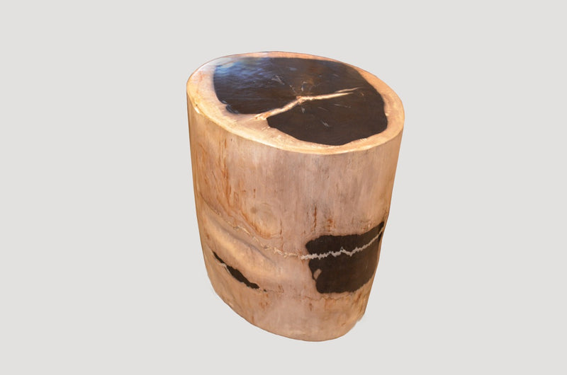 Petrified Wood Side Table