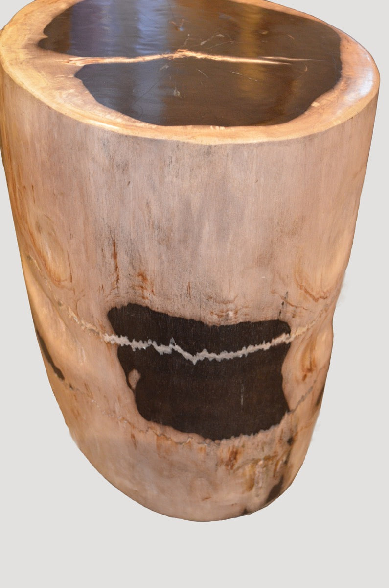 Petrified Wood Side Table