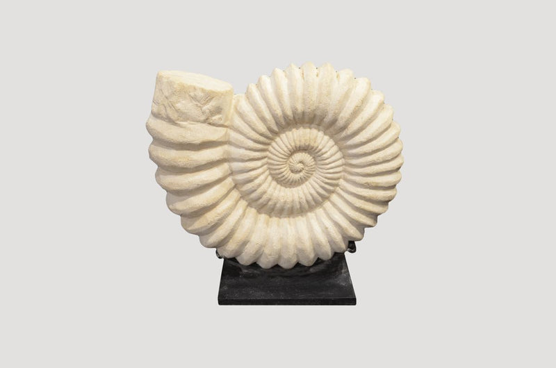 Sandstone Ammonite
