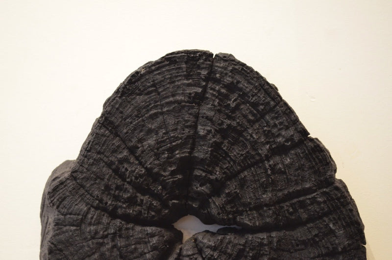 Triple Burnt Erosion Teak Sculptures