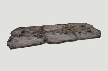 Petrified Wood Table