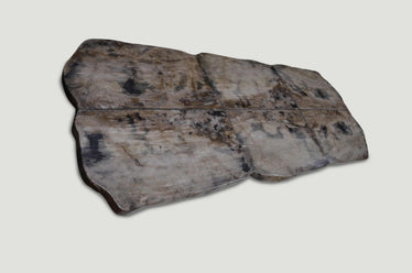 Petrified Wood Table