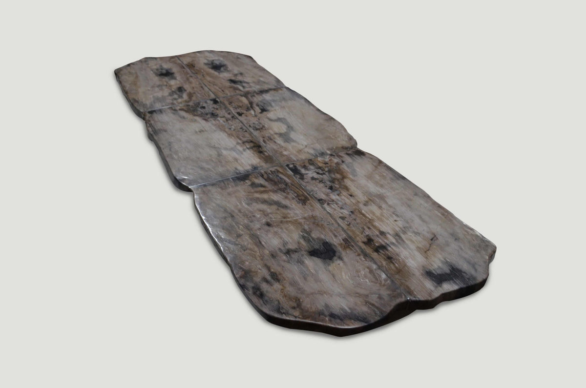 Petrified Wood Table