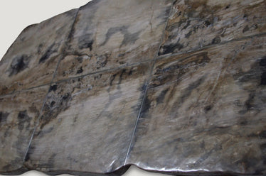 Petrified Wood Table