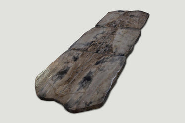 Petrified Wood Table