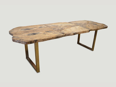 Petrified Wood Table