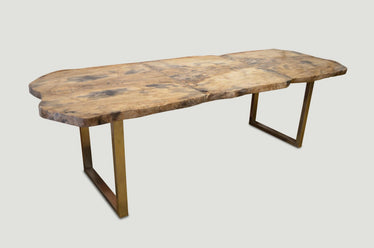 Petrified Wood Table