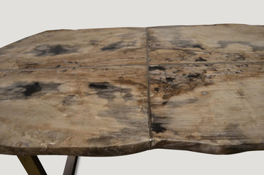 Petrified Wood Table