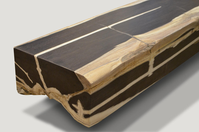 Super Smooth Petrified Wood Log Bench