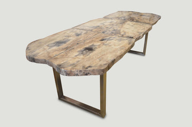 Petrified Wood Table