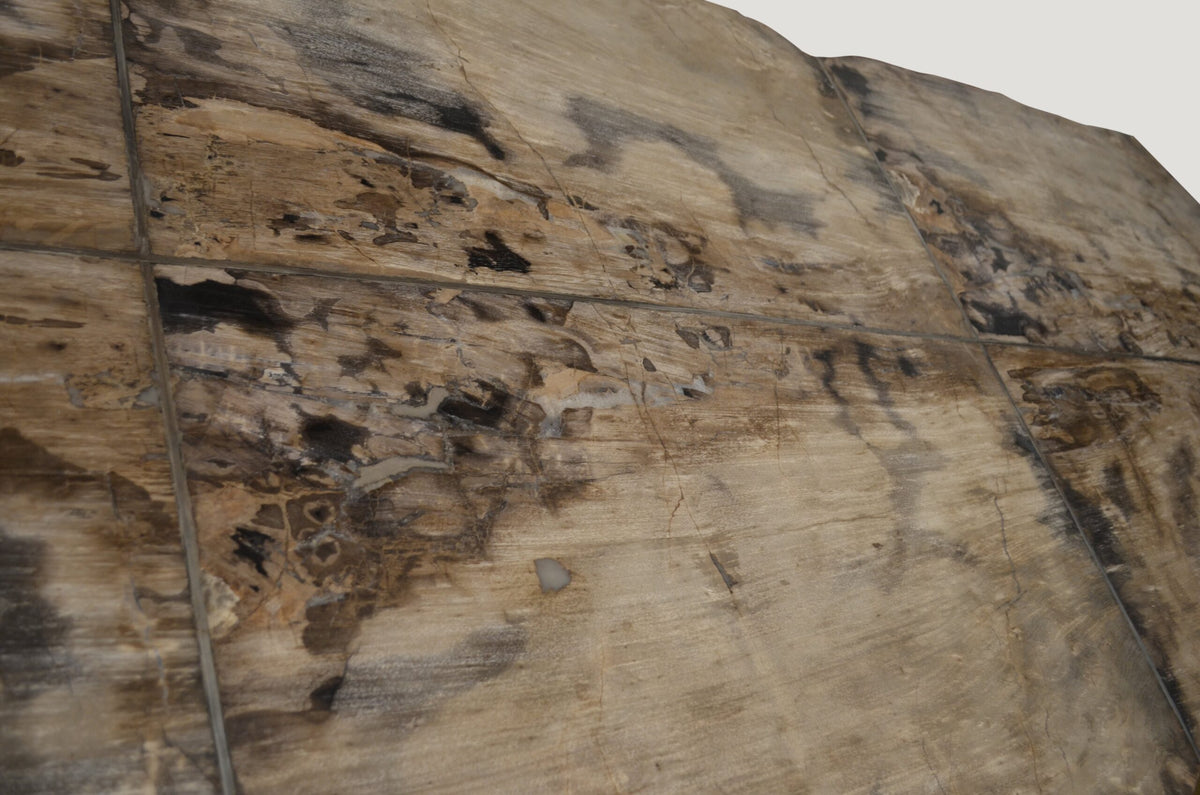 Petrified Wood Table