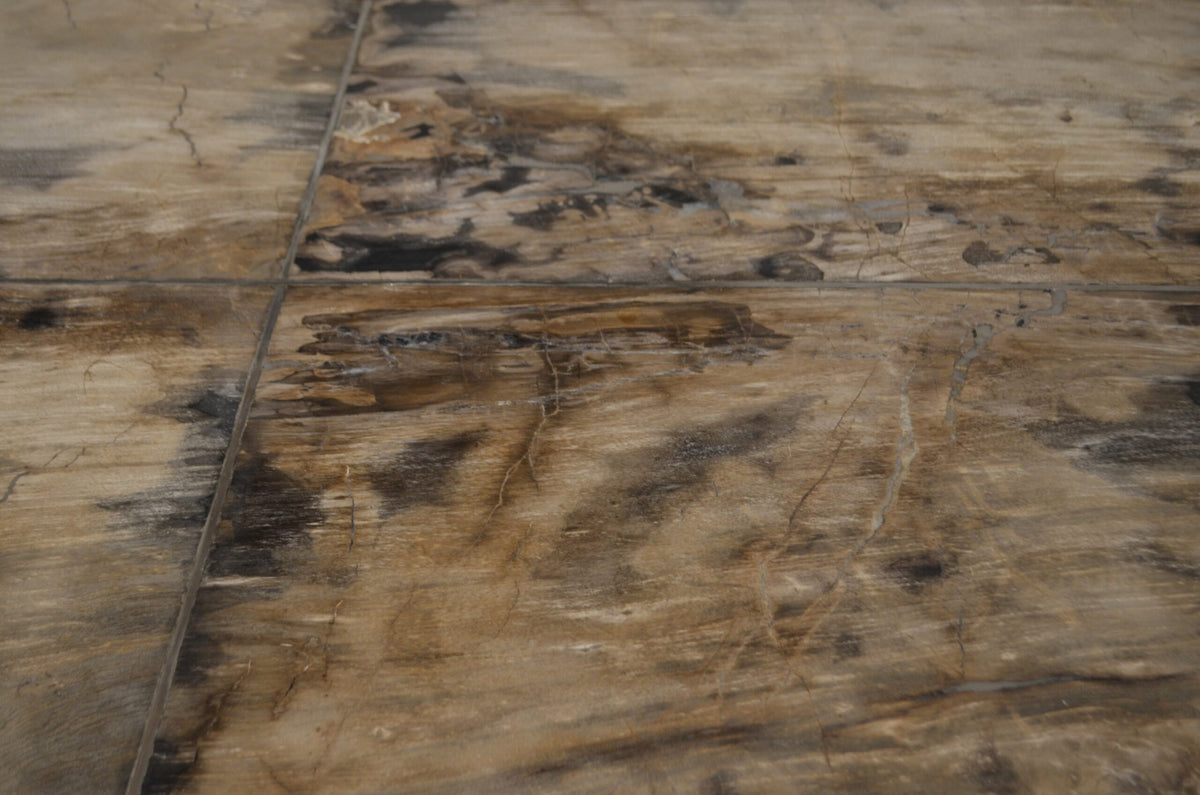 Petrified Wood Table
