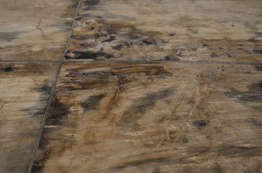 Petrified Wood Table