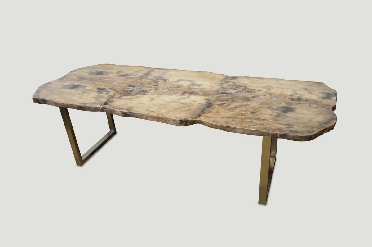 Petrified Wood Table
