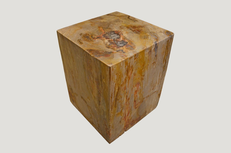 Petrified Wood Side Table With Cracked Resin