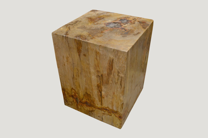 Petrified Wood Side Table With Cracked Resin