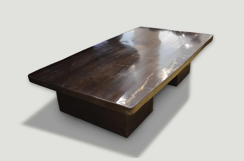 Super Smooth Petrified Wood Coffee Table