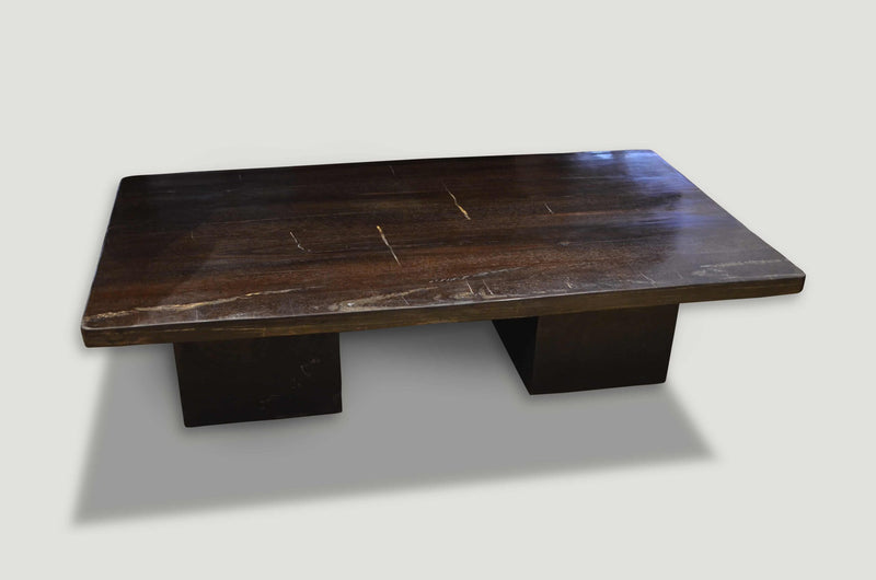 Super Smooth Petrified Wood Coffee Table